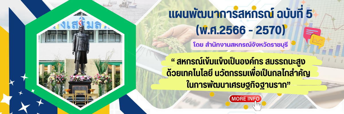 แผนพัฒนาสหกรณ์