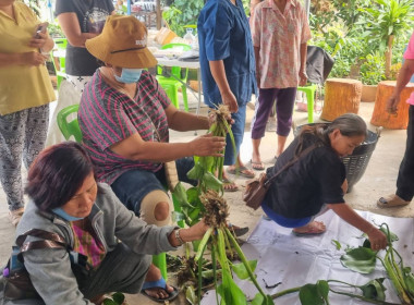 โครงการอบรมหลักสูตร ... พารามิเตอร์รูปภาพ 16