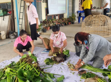 โครงการอบรมหลักสูตร ... พารามิเตอร์รูปภาพ 19