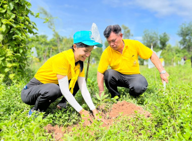 “สหกรณ์อาสาทำดีด้วยหัวใจ” กิจกรรมบำเพ็ญสาธารณะประโยชน์ ... พารามิเตอร์รูปภาพ 9