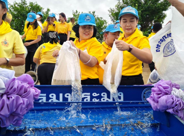 กิจกรรมจิตอาสาเฉลิมพระเกียรติพระบาทสมเด็จพระเจ้าอยู่หัว ... พารามิเตอร์รูปภาพ 9