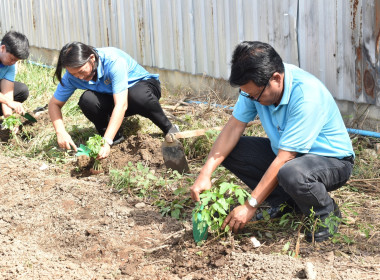 โครงการขยายผลการเรียนรู้ฟาร์มตัวอย่างตามแนวพระราชดำริ ... พารามิเตอร์รูปภาพ 16