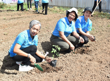 โครงการขยายผลการเรียนรู้ฟาร์มตัวอย่างตามแนวพระราชดำริ ... พารามิเตอร์รูปภาพ 17