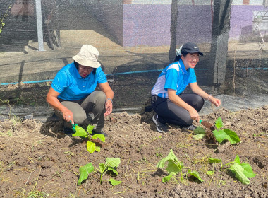 โครงการขยายผลการเรียนรู้ฟาร์มตัวอย่างตามแนวพระราชดำริ ... พารามิเตอร์รูปภาพ 29