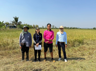 ตรวจสอบการใช้เงินกู้กองทุนพัฒนาสหกรณ์ ครั้งที่ 2 พารามิเตอร์รูปภาพ 1