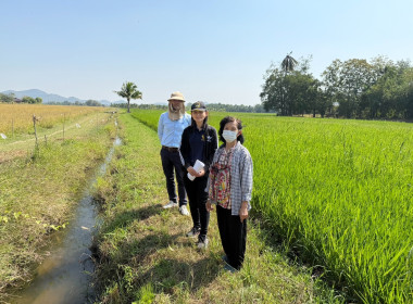 ตรวจสอบการใช้เงินกู้กองทุนพัฒนาสหกรณ์ ครั้งที่ 2 พารามิเตอร์รูปภาพ 5