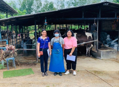 ลงพื้นที่สำรวจปริมาณน้ำนมโคและประชากรโคนม ในปี 2568 พารามิเตอร์รูปภาพ 1