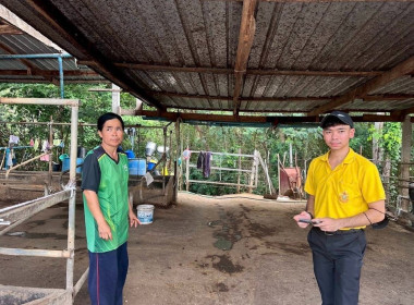 ลงพื้นที่สำรวจปริมาณน้ำนมโคและประชากรโคนม ในปี 2568 พารามิเตอร์รูปภาพ 7