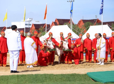 พระราชพิธีจรดพระนังคัลแรกนาขวัญ พุทธศักราช 2568 พารามิเตอร์รูปภาพ 9