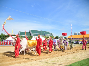 พระราชพิธีจรดพระนังคัลแรกนาขวัญ พุทธศักราช 2568 พารามิเตอร์รูปภาพ 8