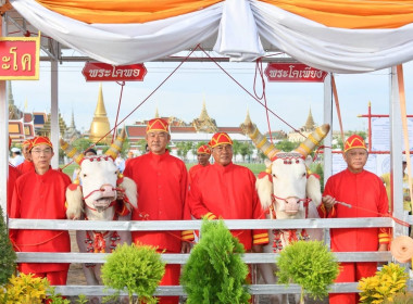พระราชพิธีจรดพระนังคัลแรกนาขวัญ พุทธศักราช 2568 พารามิเตอร์รูปภาพ 13