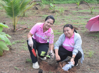 โครงการเสริมสร้างสมดุลชีวิตคนทำงาน (Work Life Balance) ... พารามิเตอร์รูปภาพ 7