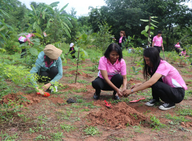 โครงการเสริมสร้างสมดุลชีวิตคนทำงาน (Work Life Balance) ... พารามิเตอร์รูปภาพ 4