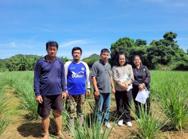 ลงพื้นที่ติดตามและเก็บข้อมูลเกษตรกรโครงการส่งเสริมและพัฒนาอาชีพเพื่อแก้ไขปัญหาที่ดินทำกินของเกษตรกร ... พารามิเตอร์รูปภาพ 5