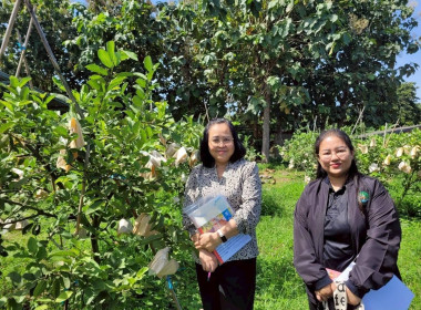 ลงพื้นที่ติดตามและเก็บข้อมูลเกษตรกรโครงการส่งเสริมและพัฒนาอาชีพเพื่อแก้ไขปัญหาที่ดินทำกินของเกษตรกร ... พารามิเตอร์รูปภาพ 7