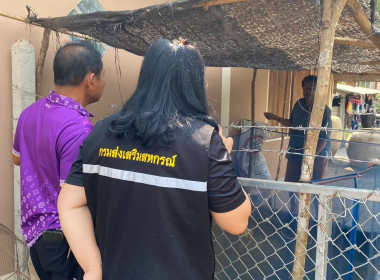 ลงพื้นที่สำรวจความต้องการของเกษตรกรในการฝึกอบรมอาชีพเพิ่มเติม ... พารามิเตอร์รูปภาพ 7