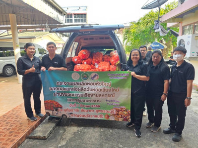 กระจายผลผลิตหอมหัวใหญ่ออกนอกแหล่งผลิตภายใต้แคมเปญ ... พารามิเตอร์รูปภาพ 1