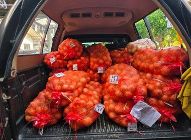 กระจายผลผลิตหอมหัวใหญ่ออกนอกแหล่งผลิตภายใต้แคมเปญ ... พารามิเตอร์รูปภาพ 2