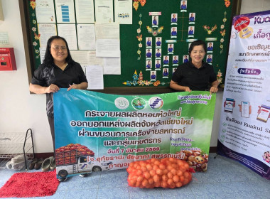 กระจายผลผลิตหอมหัวใหญ่ออกนอกแหล่งผลิตภายใต้แคมเปญ ... พารามิเตอร์รูปภาพ 3