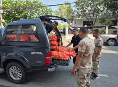 กระจายผลผลิตหอมหัวใหญ่ออกนอกแหล่งผลิตภายใต้แคมเปญ ... พารามิเตอร์รูปภาพ 9