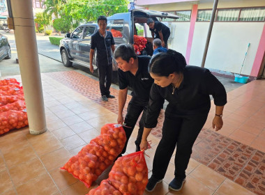 กระจายผลผลิตหอมหัวใหญ่ออกนอกแหล่งผลิตภายใต้แคมเปญ ... พารามิเตอร์รูปภาพ 10