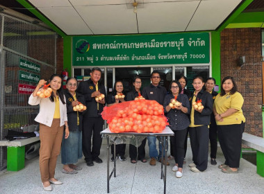 กระจายผลผลิตหอมหัวใหญ่ออกนอกแหล่งผลิตภายใต้แคมเปญ ... พารามิเตอร์รูปภาพ 11