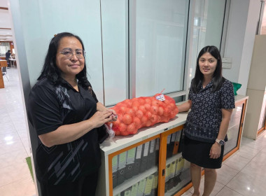 กระจายผลผลิตหอมหัวใหญ่ออกนอกแหล่งผลิตภายใต้แคมเปญ ... พารามิเตอร์รูปภาพ 13