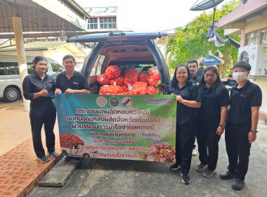 กระจายผลผลิตหอมหัวใหญ่ออกนอกแหล่งผลิตภายใต้แคมเปญ ... พารามิเตอร์รูปภาพ 14