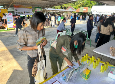 โครงการปกป้องและเชิดชูสถาบันพระมหากษัตริย์ ... พารามิเตอร์รูปภาพ 8