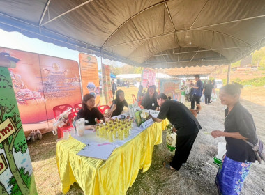 โครงการคลินิกเกษตรเคลื่อนที่ในพระราชานุเคราะห์สมเด็จพระบรมโอรสาธิราช ฯ สยามมกุฎราชกุมาร ไตรมาสที่ 2/2569 ... พารามิเตอร์รูปภาพ 11