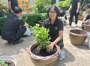 กิจกรรมวันต้นไม้ประจำปีของชาติ พ.ศ. 2569 1 คน 1 ต้น พารามิเตอร์รูปภาพ 1