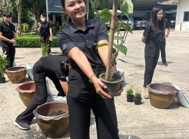 กิจกรรมวันต้นไม้ประจำปีของชาติ พ.ศ. 2569 1 คน 1 ต้น พารามิเตอร์รูปภาพ 7