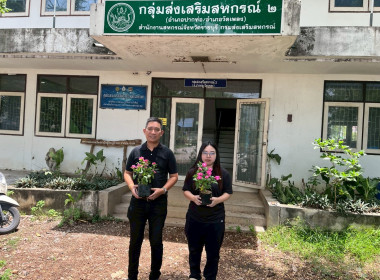 กิจกรรมวันต้นไม้ประจำปีของชาติ พ.ศ. 2569 1 คน 1 ต้น พารามิเตอร์รูปภาพ 10