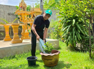 กิจกรรมวันต้นไม้ประจำปีของชาติ พ.ศ. 2569 1 คน 1 ต้น พารามิเตอร์รูปภาพ 12