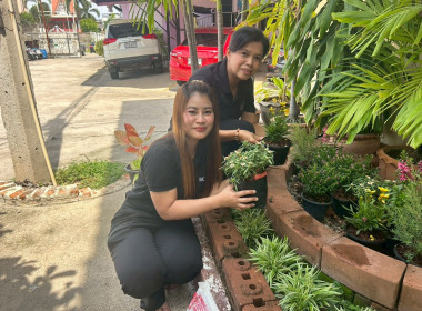 กิจกรรมวันต้นไม้ประจำปีของชาติ พ.ศ. 2569 1 คน 1 ต้น พารามิเตอร์รูปภาพ 19