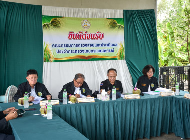 การติดตามและตรวจสอบการขับเคลื่อนโครงการยกระดับคุณภาพมาตรฐานสินค้าเกษตรสินค้าข้าว ... พารามิเตอร์รูปภาพ 3