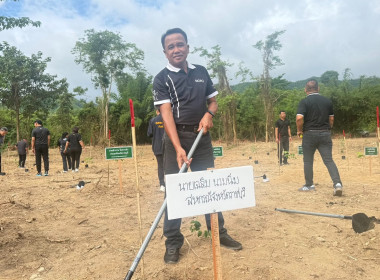 โครงการปลูกป่าและจัดทำฝายชะลอน้ำเฉลิมพระเกียรติ พารามิเตอร์รูปภาพ 9