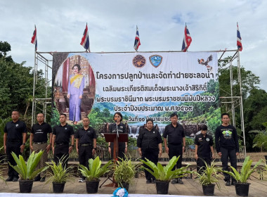 โครงการปลูกป่าและจัดทำฝายชะลอน้ำเฉลิมพระเกียรติ พารามิเตอร์รูปภาพ 15