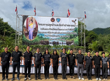 โครงการปลูกป่าและจัดทำฝายชะลอน้ำเฉลิมพระเกียรติ พารามิเตอร์รูปภาพ 1
