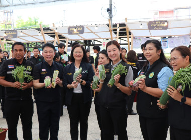 โครงการนำร่องศึกษาและทดสอบรูปแบบตลาดสินค้าเกษตร ... พารามิเตอร์รูปภาพ 3